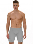 Плавки-шорты мужские спортивные, серый, антихлор, Atemi TSAP01G