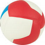 Мяч вол. GALA School 12, BV5715S, р. 5, син.кожа ПУ, под.сл. пена, клеен,бут.кам,бел-гол-красн (5)