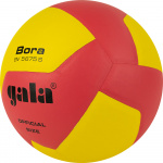 Мяч волейбольный GALA Bora 12 BV5675S, размер 5 (5)