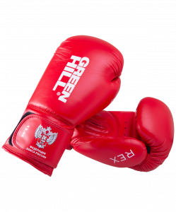 Перчатки боксерские Green Hill REX BGR-2272F, 12 oz, красный ― купить в Москве. Цена, фото, описание, продажа, отзывы. Выбрать, заказать с доставкой. | Интернет-магазин SPORTAVA.RU
