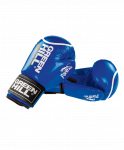 Перчатки боксерские Green Hill Panther BGP-2098, 12 oz, синий