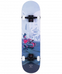 Скейтборд Ridex Vista 31.6"X8"