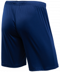 Шорты игровые JÖGEL CAMP Classic Shorts, темно-синий/белый, детский