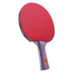 Ракетка для настольного тенниса TORRES Sport 1* TT21005