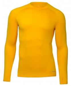 Джемпер компрессионный Jögel PerFormDRY Baselayer Warm Top, желтый ― купить в Москве. Цена, фото, описание, продажа, отзывы. Выбрать, заказать с доставкой. | Интернет-магазин SPORTAVA.RU