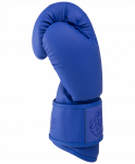 Перчатки боксерские Fight Expert BGS-V010, синий, 10 oz