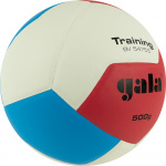 Мяч волейбольный GALA Training Heavy 12, BV5475S, размер 5, утяжеленный (5)