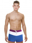 Плавки-шорты мужские для бассейна, Atemi син/фиол. TSAE1C