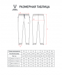 Брюки ветрозащитные JÖGEL DIVISION PerFormPROOF Rain Pants, черный