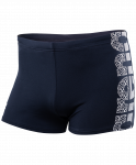 Плавки-шорты мужские Arena Equilibrium Short Black/White, 001727 501