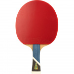 Ракетка для настольного тенниса DOUBLE FISH 5A+C, ITTF Approved, + 2 мяча