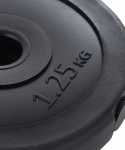 Диск пластиковый BASEFIT BB-203 d=26 мм, черный, 1,25 кг