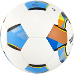 Мяч футзальный TORRES Futsal Pro FS32024, размер 4 (4)