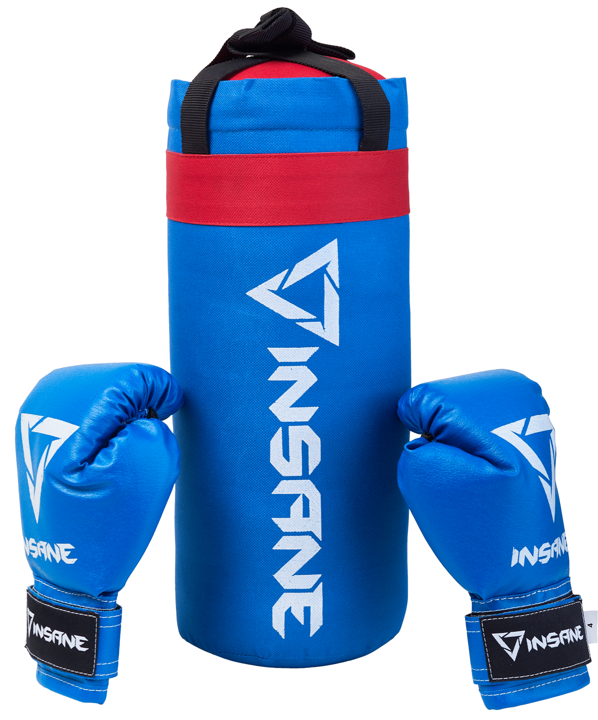 Боксерский набор Profi Boxing MS 0332