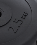 Диск пластиковый BASEFIT BB-203 d=26 мм, черный, 2,5 кг