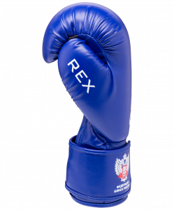 Перчатки боксерские Green Hill REX BGR-2272F, 10 oz, синий ― купить в Москве. Цена, фото, описание, продажа, отзывы. Выбрать, заказать с доставкой. | Интернет-магазин SPORTAVA.RU
