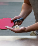 Мяч для настольного тенниса Donic 3* Champion ITTF, белый, 3 шт.