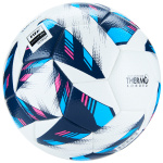 Мяч футбольный VISION Resposta FIFA Quality Pro 01-01-17907-5, размер 5 (5)