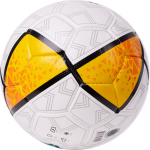 Мяч футбольный TORRES Pro F323985, размер 5 (5)