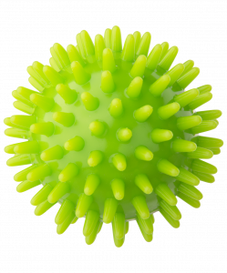 Мяч массажный BASEFIT GB-601 7 см, зеленый ― купить в Москве. Цена, фото, описание, продажа, отзывы. Выбрать, заказать с доставкой. | Интернет-магазин SPORTAVA.RU