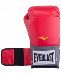 Перчатки боксерские Everlast Pro Style Anti-MB 2110U, 10oz, к/з, красные