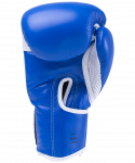 Перчатки боксерские KSA Wolf Blue, кожа, 10 oz