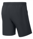 Шорты JÖGEL CAMP 2 Woven Shorts, темно-серый