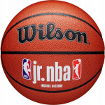 Мяч баскетбольный Wilson JR. NBA Fam Logo Indoor Outdoor WZ2009801XB5, размер 5 (5)