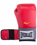 Перчатки боксерские Everlast Pro Style Anti-MB 2114U, 14oz, к/з, красные