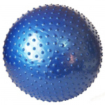 Мяч гимнастический массажный Z-Sports ВВ-003BL-22 (55см)