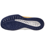 Кроссовки волейбольные мужские MIZUNO Thunder Blade Z V1GA237043 белый