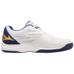 Кроссовки волейбольные мужские MIZUNO Thunder Blade Z V1GA237043 белый