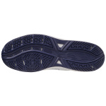Кроссовки волейбольные мужские MIZUNO Cyclone Speed 4 V1GA238043, р.UK5,5 (рос.37,5), белый