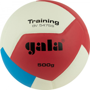 Мяч волейбольный GALA Training Heavy 12, BV5475S, размер 5, утяжеленный (5) ― купить в Москве. Цена, фото, описание, продажа, отзывы. Выбрать, заказать с доставкой. | Интернет-магазин SPORTAVA.RU