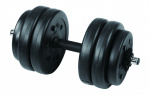 Гантель сборная 3113CD Lite Weights 13 кг х 1шт