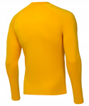 Джемпер компрессионный Jögel PerFormDRY Baselayer Warm Top, желтый