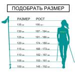 Палки для скандинавской ходьбы Ateox SP059 (Красные)