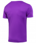 Футболка футбольная Jögel CAMP Origin, фиолетовый/белый