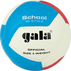 Мяч волейбольный GALA School 12 BV5715S, размер 5 (5) ― купить в Москве. Цена, фото, описание, продажа, отзывы. Выбрать, заказать с доставкой. | Интернет-магазин SPORTAVA.RU