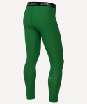 Тайтсы компрессионные JÖGEL CAMP PerFormDRY Baselayer Tights, зеленый