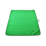 Плед-подушка-сумка для пикника 3в1 ALPHA CAPRICE (зеленый)