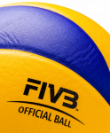 Мяч волейбольный Mikasa MVA 310