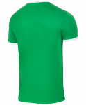 Футболка футбольная Jögel JFT-1010-031, зеленый/белый