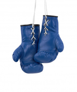 Перчатки боксерские Green Hill AG-1008FBR сувенирные, синий ― купить в Москве. Цена, фото, описание, продажа, отзывы. Выбрать, заказать с доставкой. | Интернет-магазин SPORTAVA.RU
