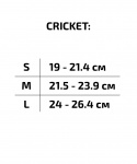 Ролики раздвижные Ridex Cricket Black, пластиковая рама