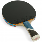 Ракетка для настольного тенниса DOUBLE FISH 5A+C, ITTF Approved, + 2 мяча