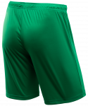 Шорты игровые Jögel CAMP Classic Shorts, зеленый/белый, детский