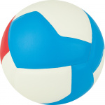 Мяч волейбольный GALA School 12 BV5715S, размер 5 (5)