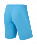 Шорты игровые JÖGEL CAMP Classic Shorts, голубой