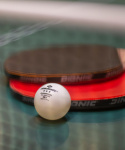 Мяч для настольного тенниса Donic 3* Champion ITTF, белый, 3 шт.